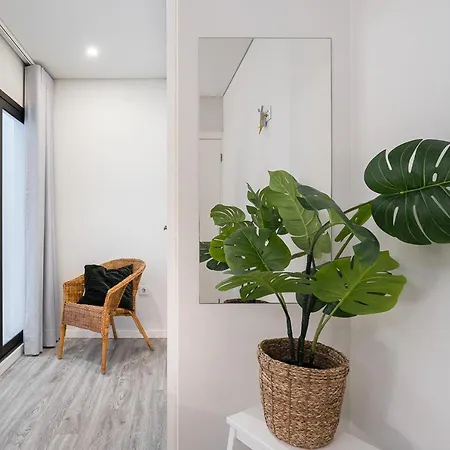 General Torres By Lisbeyond *